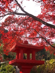 塔入口