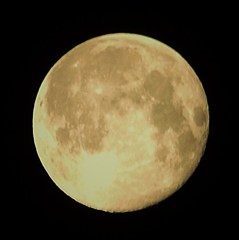 一晩遅れの名月