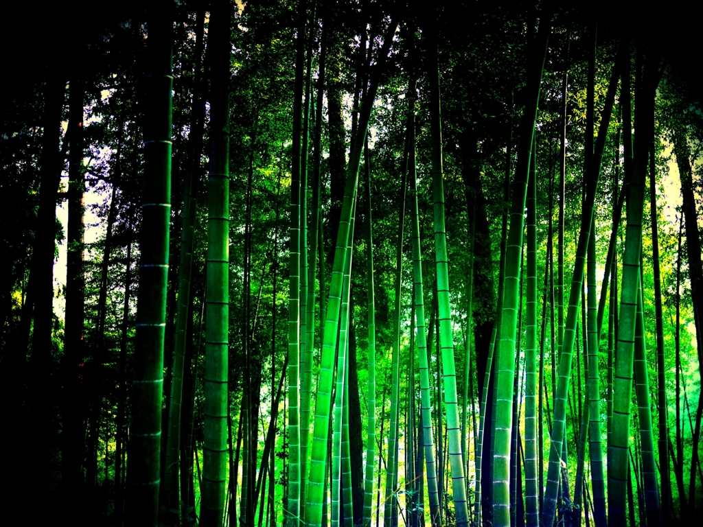 ざわ･･･ざわ･･･