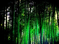 ざわ･･･ざわ･･･