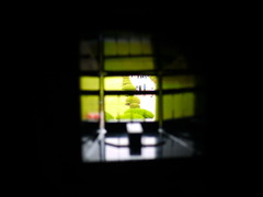 狙いを定めて･･･