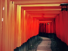 千本鳥居