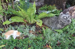 にゃん×にゃん