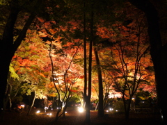 もみじ公園