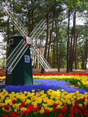 ひたち海浜公園