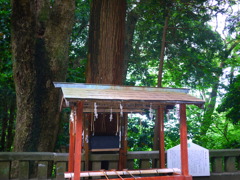 金の成る木に触れてみよう！