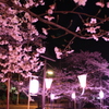 飯能中央公園
