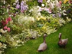 あふらーっく！