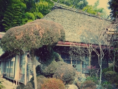 おばあちゃーん！