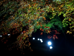 もみじ公園