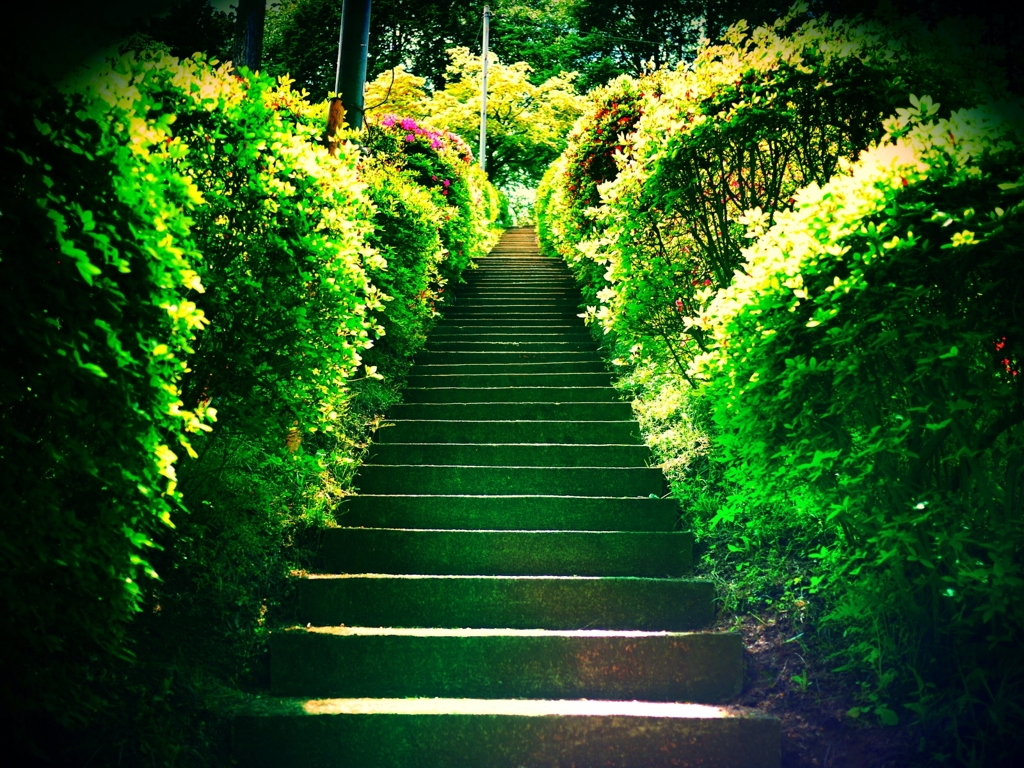 緑の石段