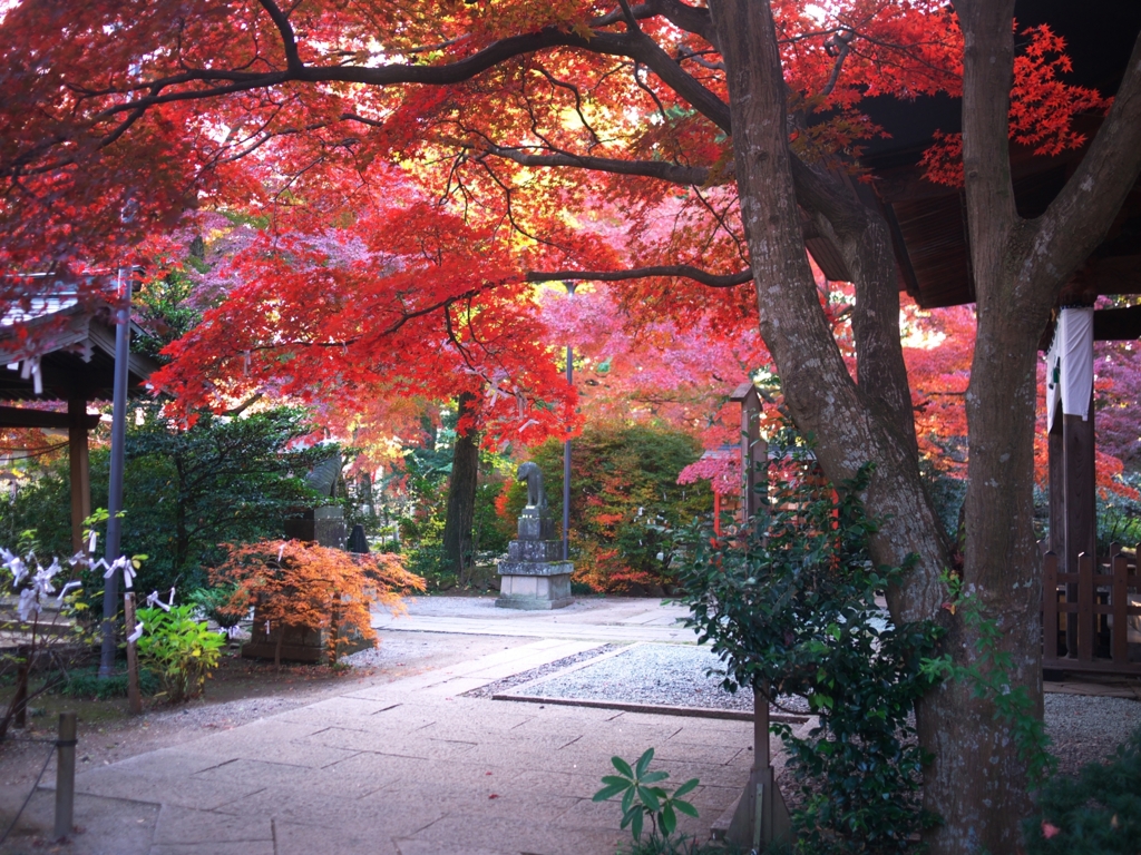 多聞院