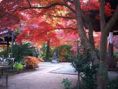 多聞院