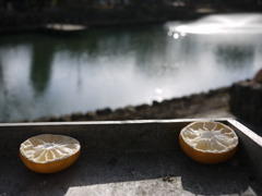 ごちそうさま～٩(˙▿˙)۶