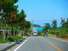 沖縄県道248号屋我地仲宗根線