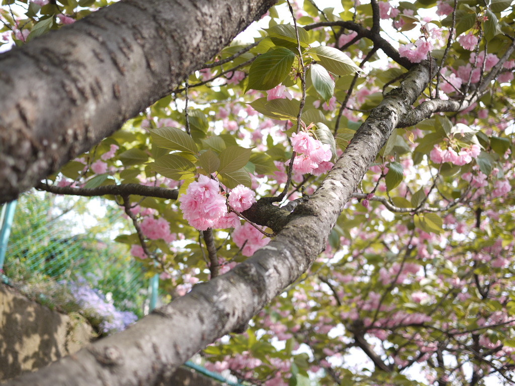 瑞穂ビューパーク