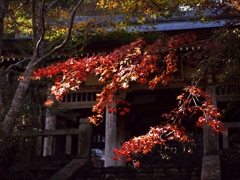 仁王門