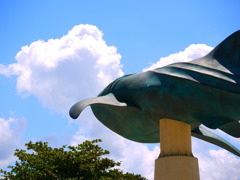 大海を夢見て