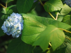 雨のち晴れ