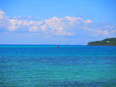 emerald green☆