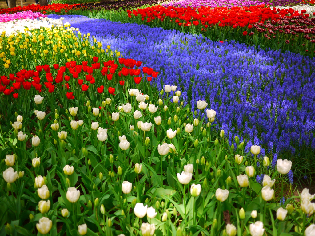 ひたち海浜公園