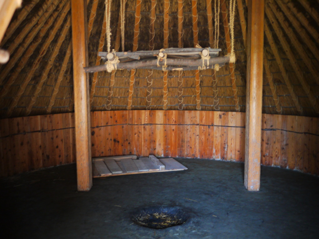 本日のご飯は終了