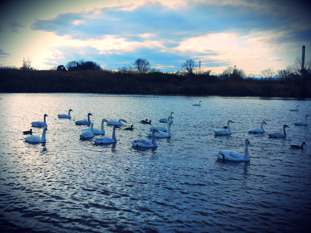 そろそろ帰りますか～