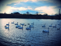 そろそろ帰りますか～