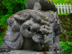 がおー(^･ω･^)