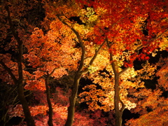 もみじ公園