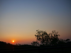 おはようなぎ～