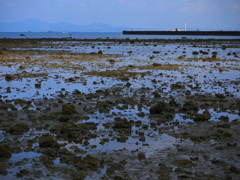 引き潮なう