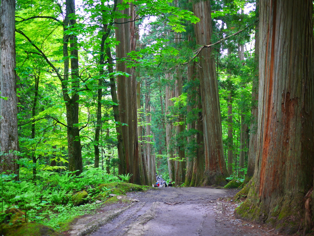 みんな４００歳