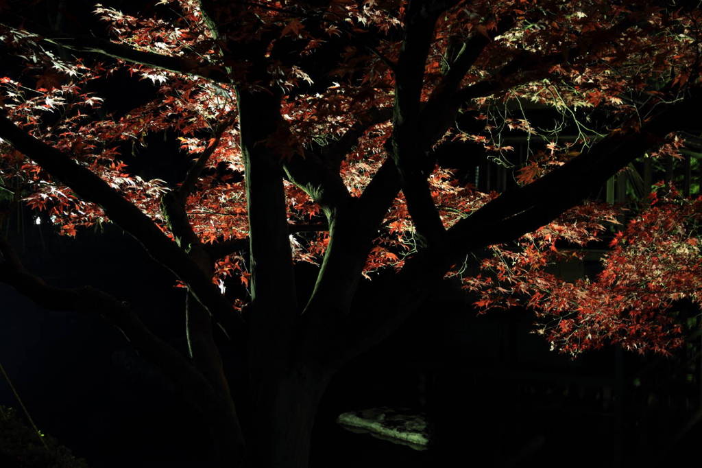 西山公園