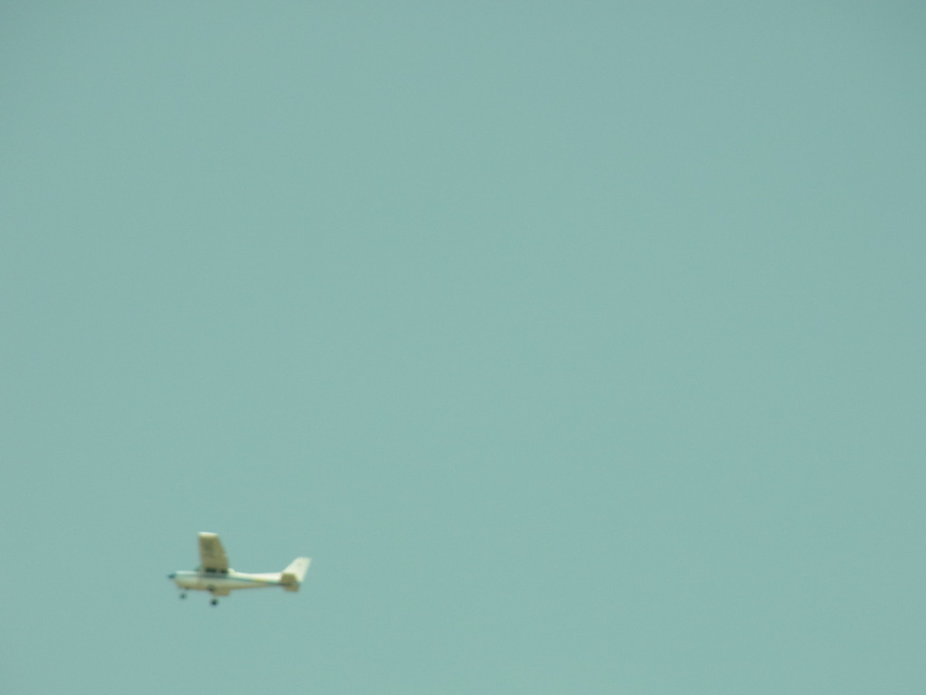 飛行機