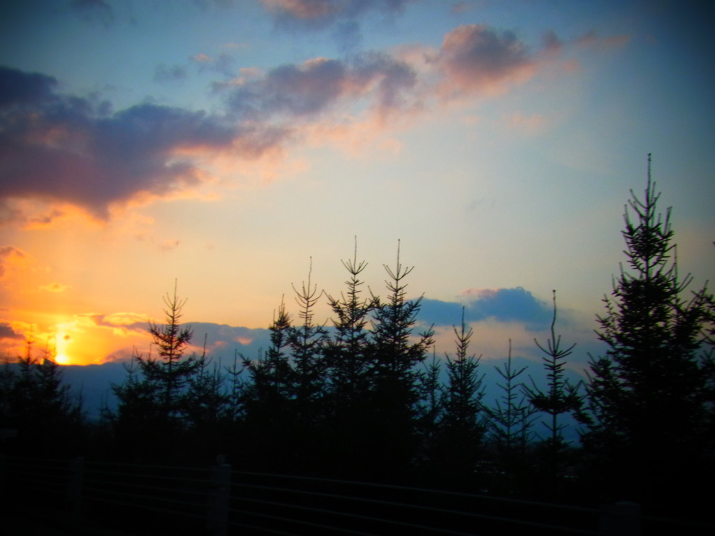 夕日