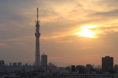 スカイツリー