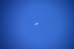 青に捕まった