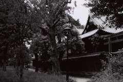 神社