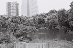 コンクリートジャングル