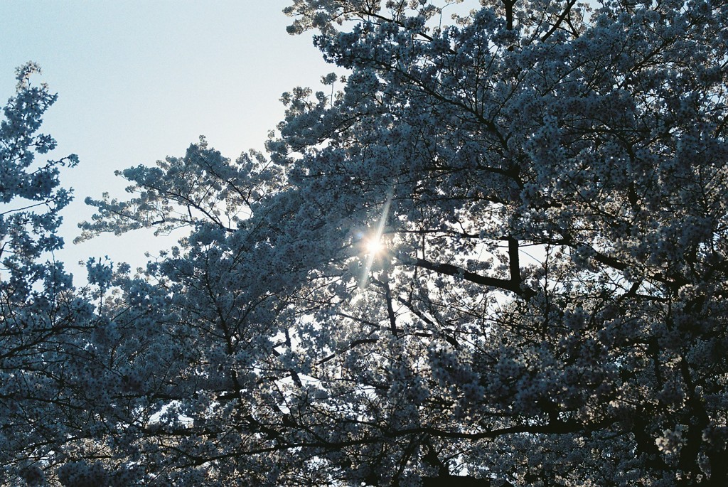 上野公園