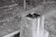 少年時代