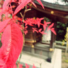 祠