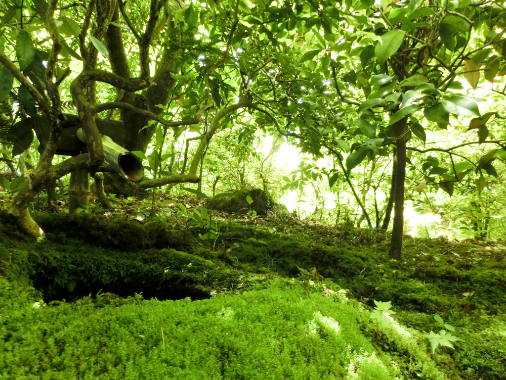 大河内山荘