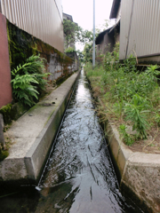 用水路