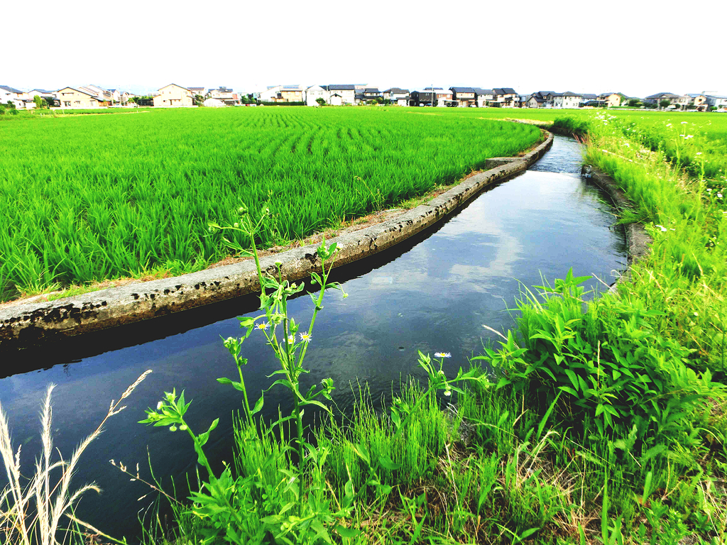 川の空
