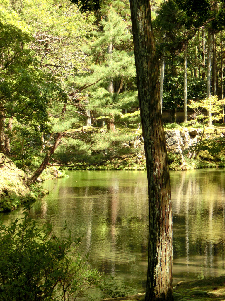 苔寺