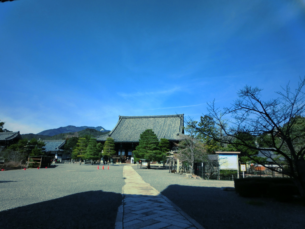 澄みわたる空