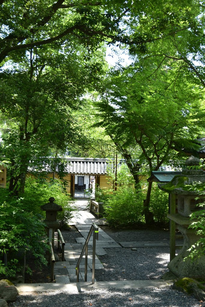 抜け道