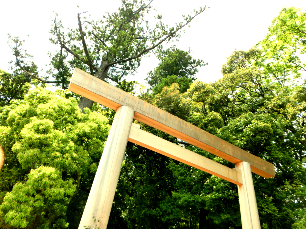 緑の中の